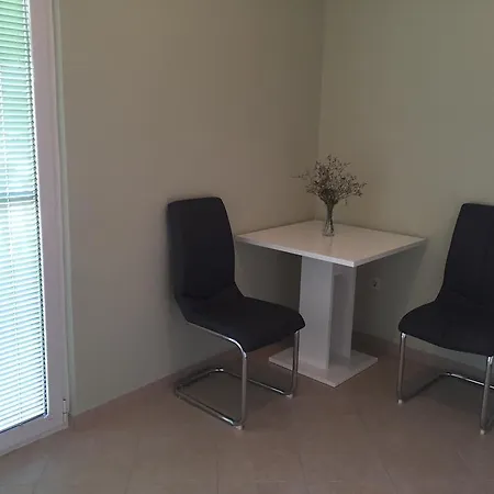 Apartament Suric *