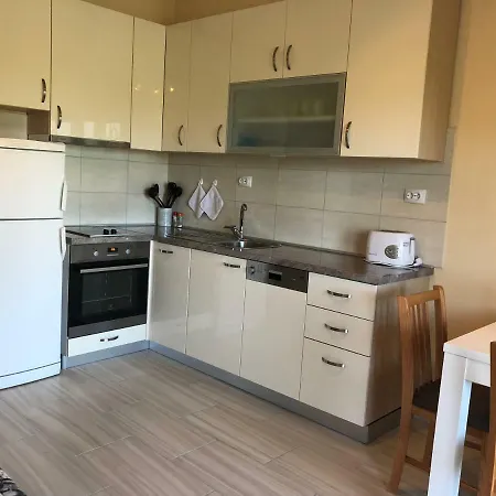 Apartament Suric